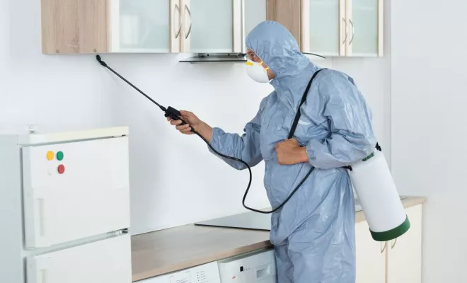 Désinsectisation, Combourg, Epiffusion
